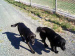 09042202.JPG