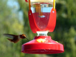 09050801.JPG