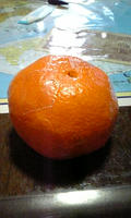 b61d9563.jpg