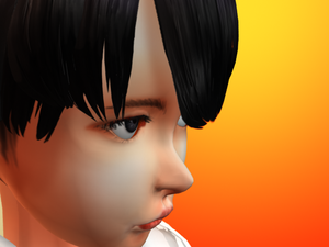 11.png