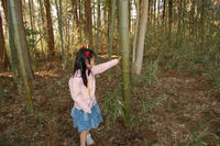 080316takeyabu1.JPG
