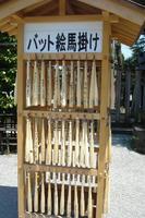 080616_yakyuu4.JPG