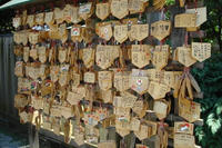 080616_yakyuu5.JPG