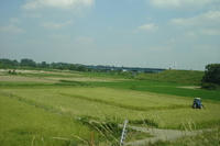080616_midori.JPG