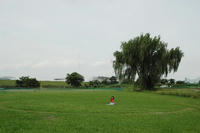 080615_mega2.JPG