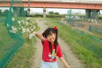 080615_mega3.JPG