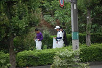 080705_gomi.JPG