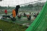 080622_sakka.JPG