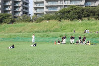 080907_aoyama2.JPG