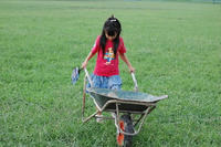 080907_mega1.JPG