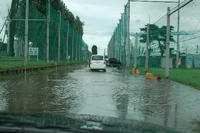080830_ame.JPG