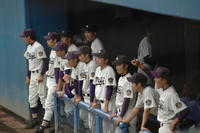101014_meiji_bench.JPG