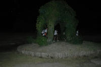 100914_kaerimiti.JPG
