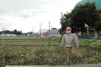 101031_kakasi.JPG