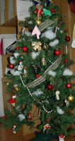 101206_turi2.JPG