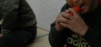 101228_kajiru.JPG