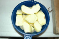 110108_ringo.JPG