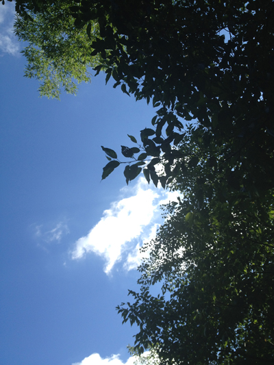 気持ちいい夏の空