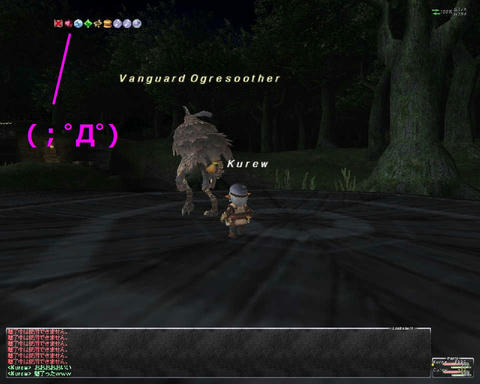 ffxi_2011.05.11_00.09.10.jpg