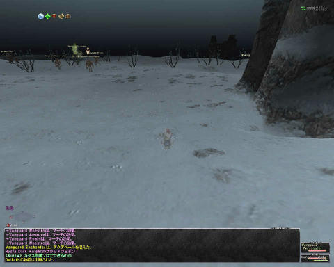 ffxi_2011.05.19_22.24.54.jpg