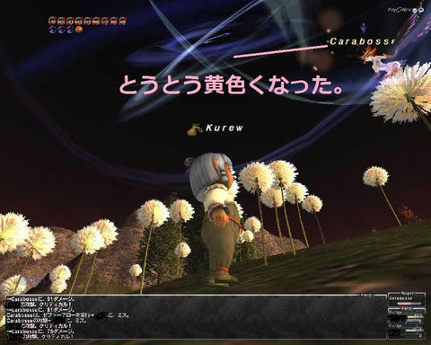 ffxi_2011.05.24_23.10.22.jpg