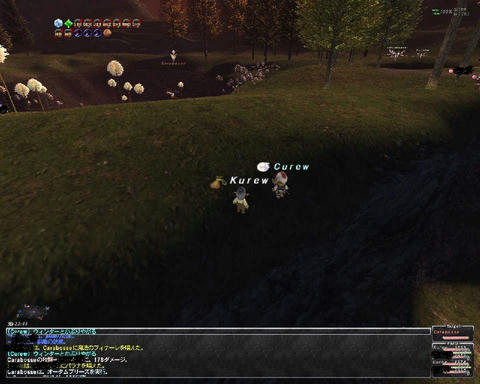 ffxi_2011.05.24_23.55.54.jpg