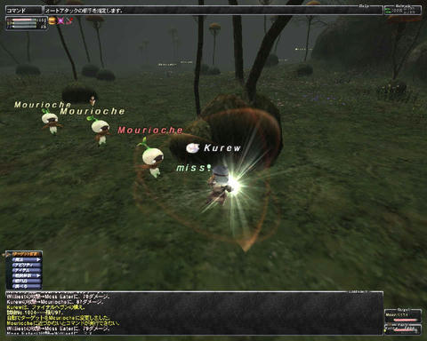 ffxi_2011.05.27_01.22.12.jpg