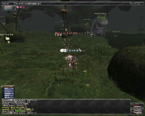 ffxi_2011.05.28_19.58.49.jpg