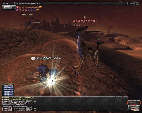 ffxi_2011.05.29_19.54.35.jpg
