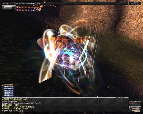ffxi_2011.05.29_23.02.45.jpg