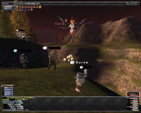 ffxi_2011.06.11_21.35.35.jpg