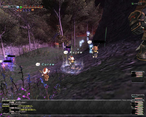 ffxi_2011.06.12_01.57.07.jpg