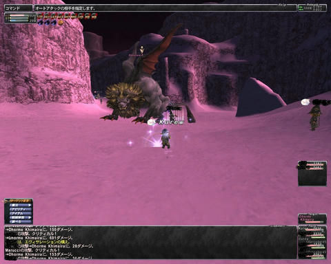 ffxi_2011.06.26_01.11.46.jpg