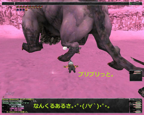 ffxi_2011.06.26_01.14.16.jpg