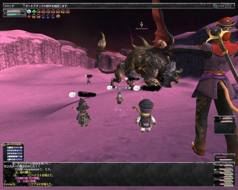 ffxi_2011.06.26_02.09.33.jpg
