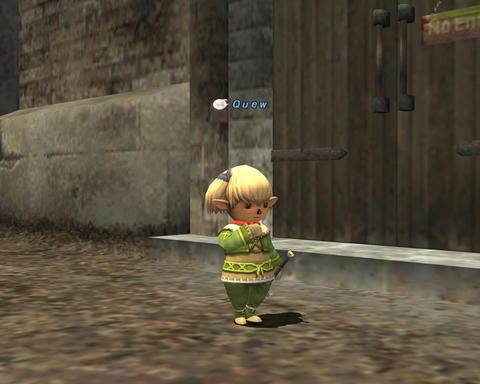 ffxi_2011.08.28_20.35.32.jpg