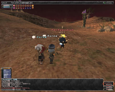 ffxi_2011.09.24_01.55.02.jpg