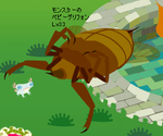 今日の若。