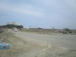 P5030054_R.JPG