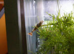 P8310003_R.JPG