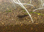 P9080004_R.JPG