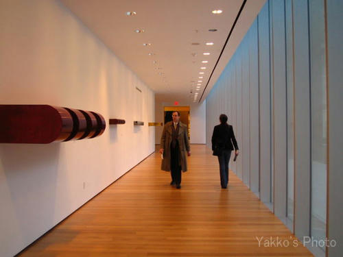 MOMA