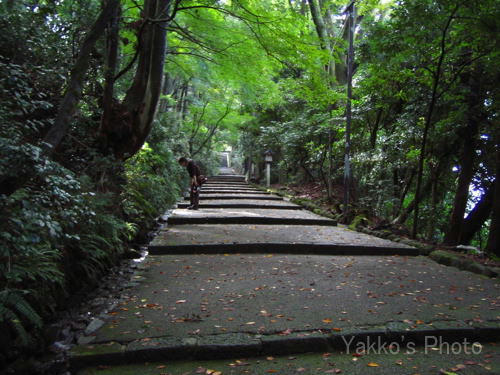 kanazawa~noto