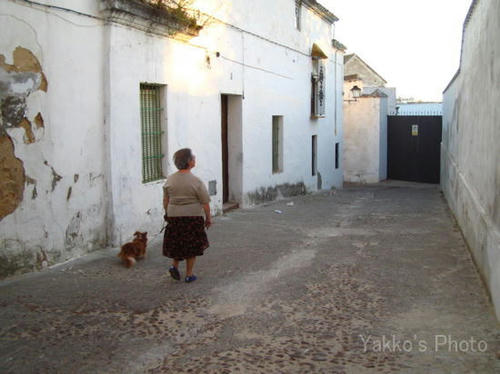 carmona-2
