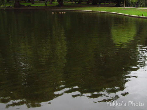 Boston-2