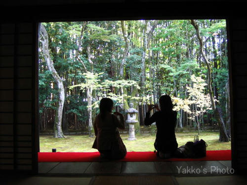 高桐院