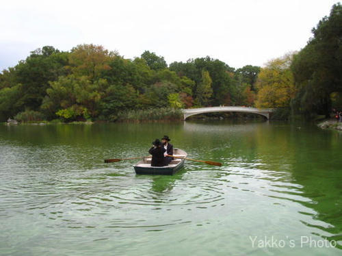 fall in central park
