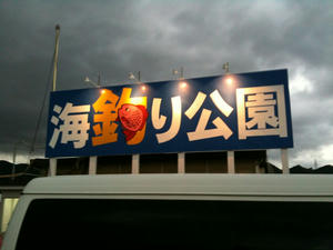 IMG_0208.jpg