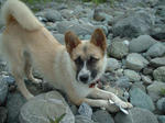 DSCF0063.1.jpg
