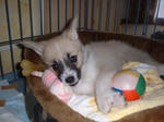 DSCF0006.jpg